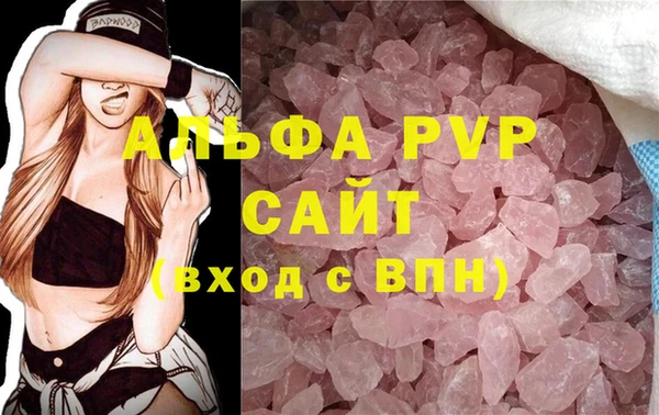 прущие грибы Козловка
