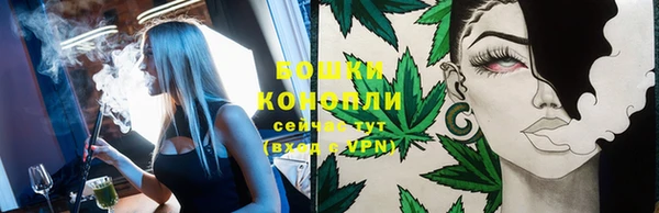 прущие грибы Козловка