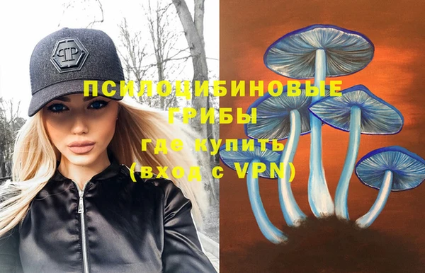 прущие грибы Козловка