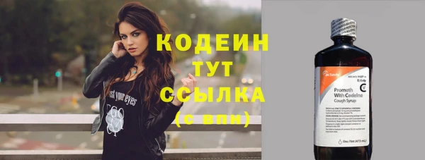 прущие грибы Козловка