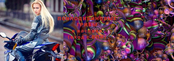 прущие грибы Козловка