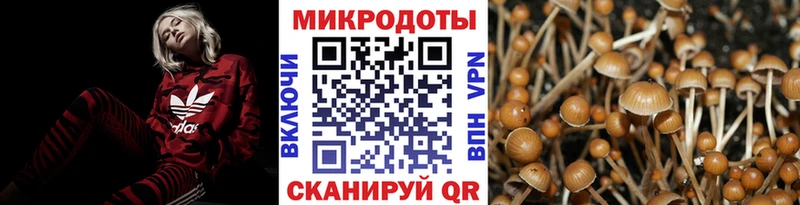 Галлюциногенные грибы ЛСД Ленинск-Кузнецкий