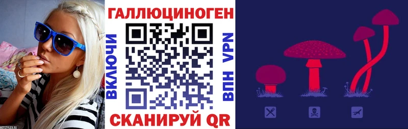 где продают   мега как войти  Галлюциногенные грибы прущие грибы  Ленинск-Кузнецкий 